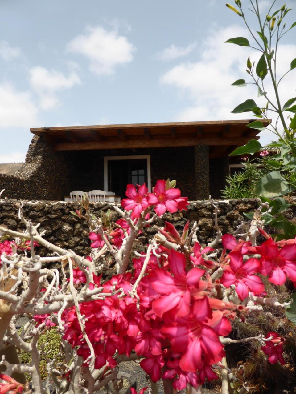 Casita Verde Villa Arrieta  Eksteriør bilde